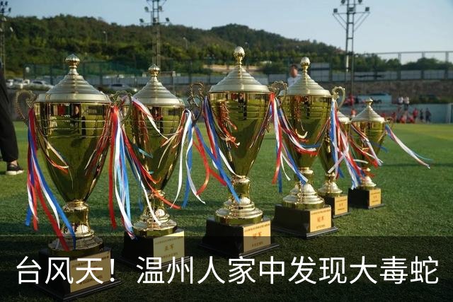 台风天！温州人家中发现大毒蛇